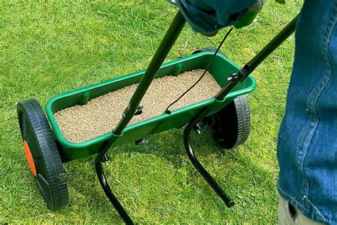 Best lawn feed spreaders 2023 for lush grass this summer | Evening Standard