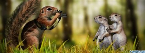 funny animals 3 Facebook Cover timeline photo banner for fb