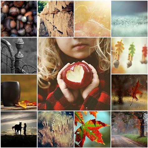 I love Autumn and Collages | Hello autumn, Autumn, Picture collage