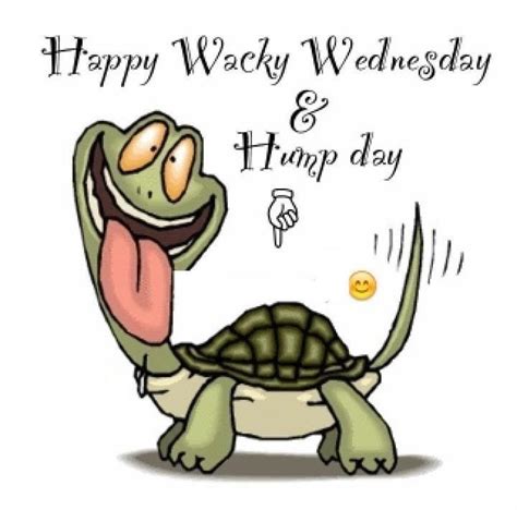 Have a Wacky Wednesday Ladies - CafeMom