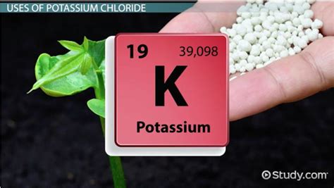 Potassium Chloride | Formula, Uses & Side Effects - Lesson | Study.com