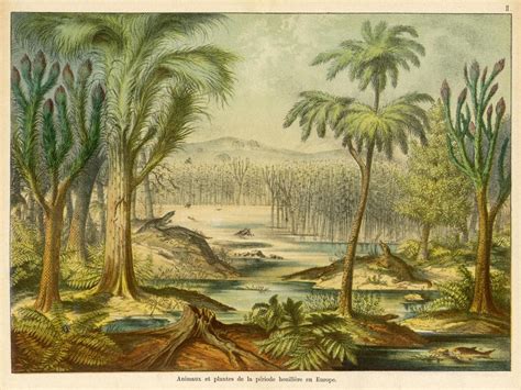 Carboniferous Period Photos, Carboniferous Period Photos -- National ...