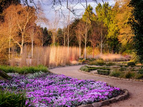 In Pictures: Winter wonder at Wakehurst | Kew