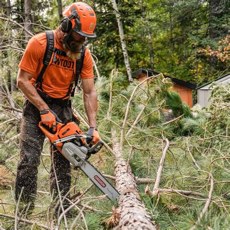 An Arborist’s Tool Belt - Sawtooth Arbor Supply & Tree Care