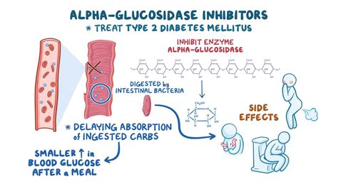 Oral antidiabetic medications - Alpha-glucosidase inhibitors: Nursing ...