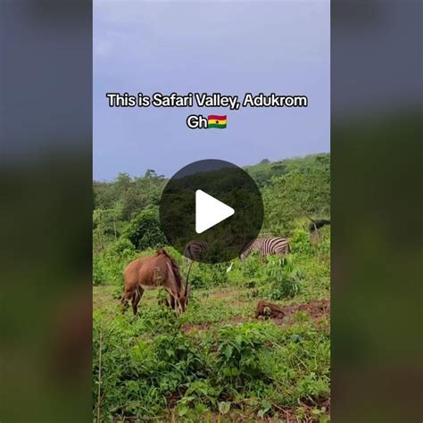 Explore Safari Valley Resort in Adukrom, Ghana | TikTok