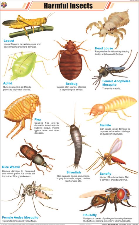 HARMFUL INSECTS - Hospital Equipment Manufacturing Company