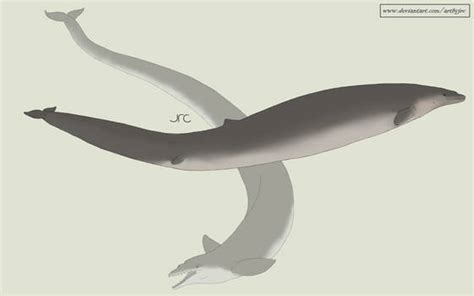 Explore the Best Basilosaurus Art | DeviantArt