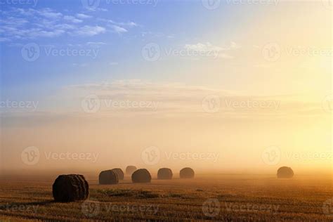 agricultural field, sunset 9423685 Stock Photo at Vecteezy