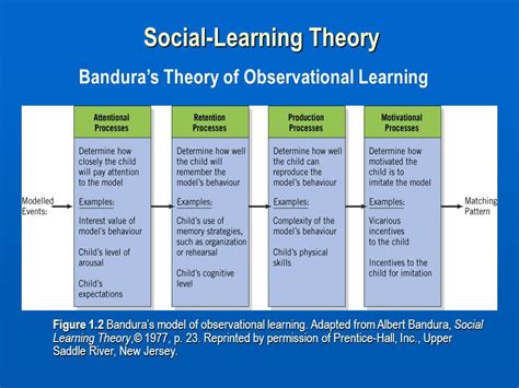 Bandura's Theory of Observational Learning under Social Learning Theory