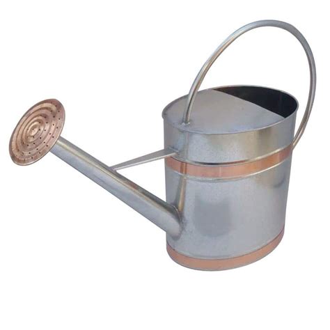 23.2 in. x 7.36 in. x 15.75 in. 2 gal. Silver Metal Watering Can-878469 ...