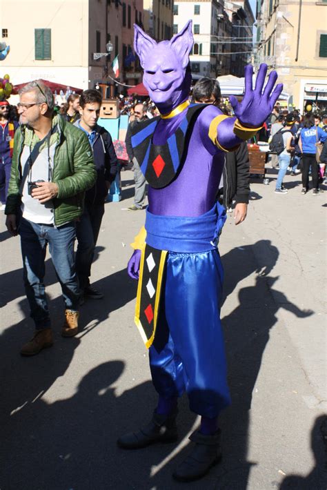 Beerus Cosplay by Maspez on DeviantArt