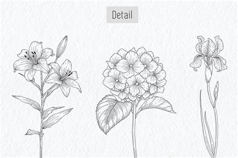 How To Draw Line Art Flowers | Best Flower Site