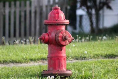 The Purpose of Fire Hydrant Flushing | Neplox