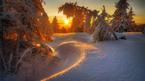 Snow Covered Landscape With Trees During Sunrise HD Winter Wallpapers ...