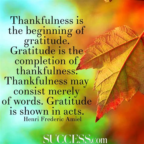 32 Quotes about Gratitude - ActionJacquelyn