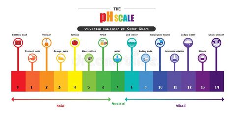 The PH Scale Universal Indicator PH Color Chart Diagram Stock Vector ...