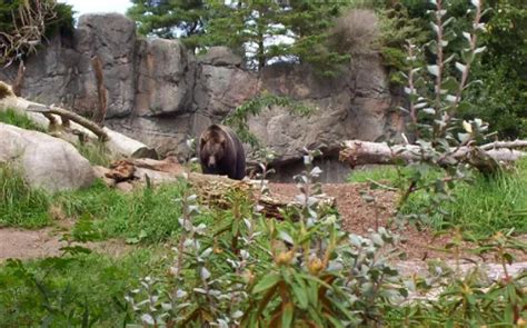 Tickets, Prices & Discounts - Woodland Park Zoo (Seattle)