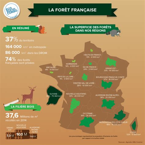 Emmanuel Macron, sauveur de l’Amazonie ? En France et en Europe aussi ...