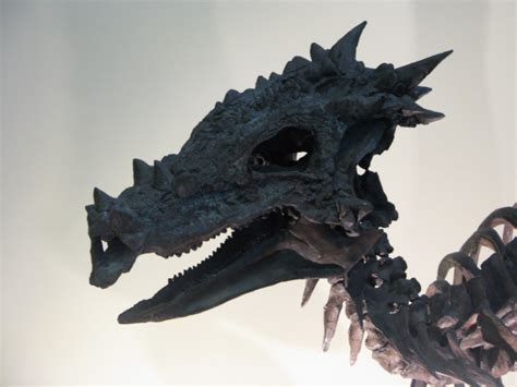 Dracorex skull in 2021 | Dragon bones, Skull, Dragon king