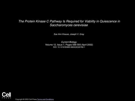 Sue Ann Krause, Joseph V. Gray Current Biology - ppt download