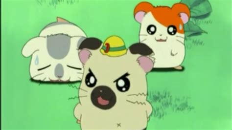 Hamtaro - Is Hamtaro on Netflix? - Netflix TV Series - EroFound