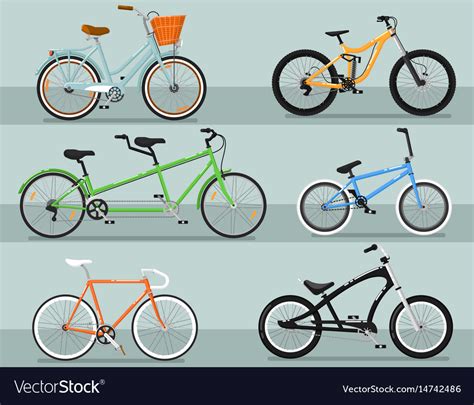 Different types bicycle isolated set Royalty Free Vector