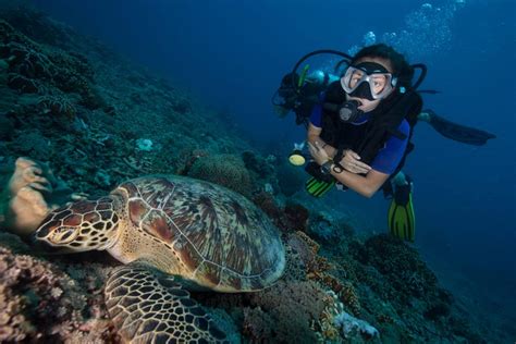 Scuba Diving Introduction in Khao Lak - Book at Civitatis.com