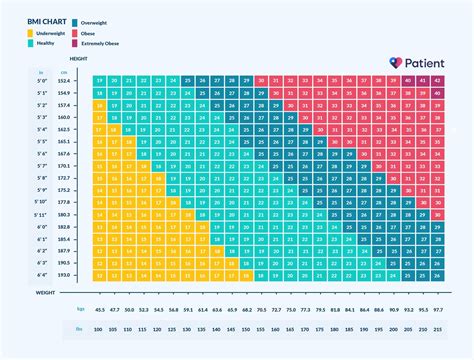 Measure My Bmi: All Facts You Need To Know