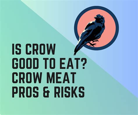 Is Crow Good To Eat? Crow Meat Benefits and Risks - Birds News