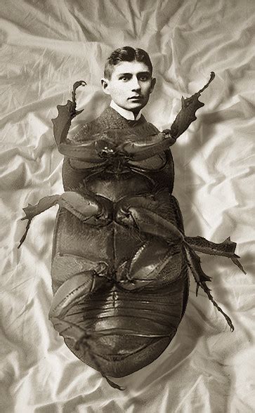 Metamorphosis - Kafka as a Beetle | William Alexander Månesø… | Flickr