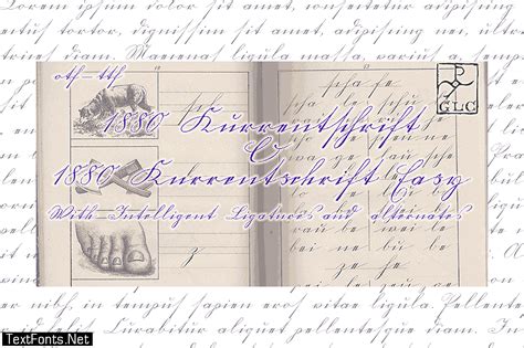 1880 Kurrentschrift Font