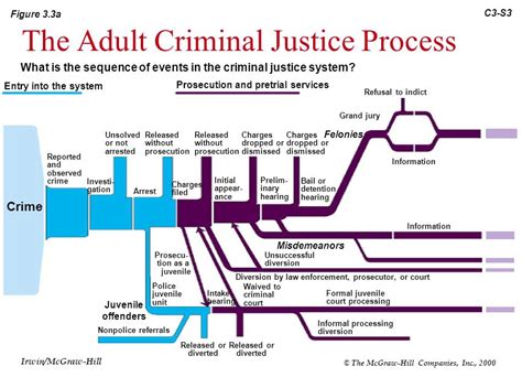 The U.S. Criminal Justice System