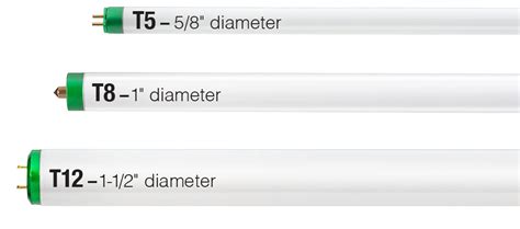 T8 Fluorescent Tube Sizes