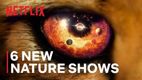 6 Mind Blowing New Nature Documentaries | Only on Netflix - YouTube