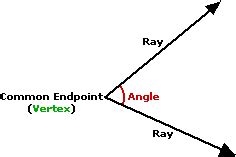 Vertex (of an angle)