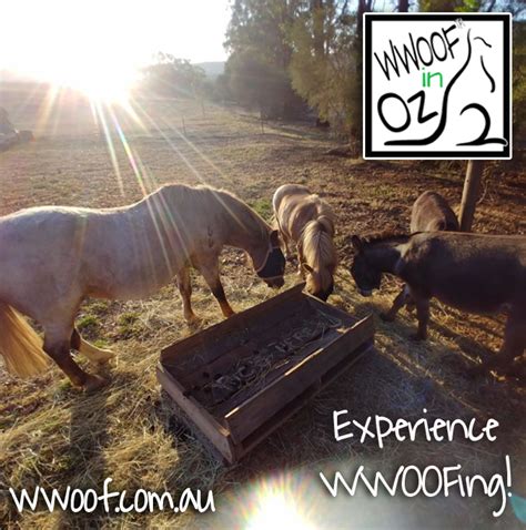 Join WWOOF - Volunteer or Host | WWOOF Australia