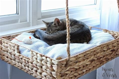 10 DIY Cat Bed Ideas