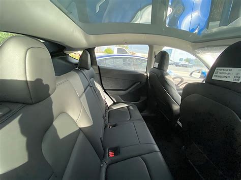 Here Are the First Images of the Tesla Model Y Interior in the Wild ...