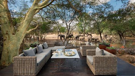 Luxury safari in the Kruger National Park | Packages & Itineraries ...