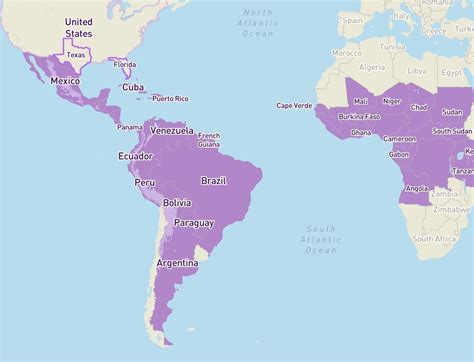 In What Countries Is the Zika Virus Active?