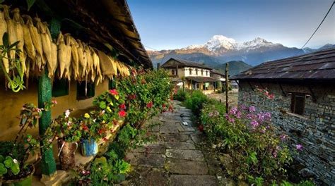 3-4 Days Ghandruk Trek From Pokhara | Hill station, Nepal travel, Nice view