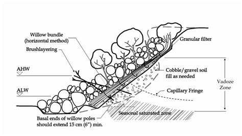 Figure 2. Vegetated Riprap or Joint Planting composed live stakes ...