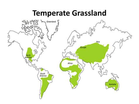 Temperate Grassland World Map - United States Map