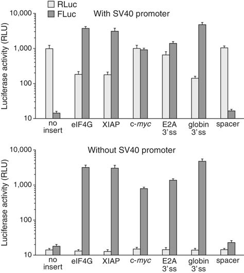 Second-cistron expression from dicistronic reporter plasmid pRF is ...