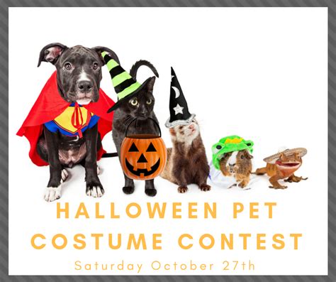 Halloween Pet Costume Contest :: Kissimmee Valley Feed