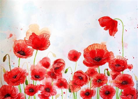 Poppy Flower Painting