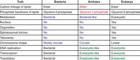 Archaea Differ From Bacteria in Which of the Following Ways