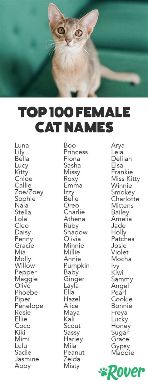 Top 10 Female Kitten Names For 2023