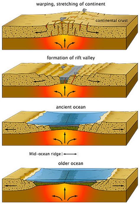 [Solved] New oceanic crust forms at ______ plate boundaries. | Course Hero